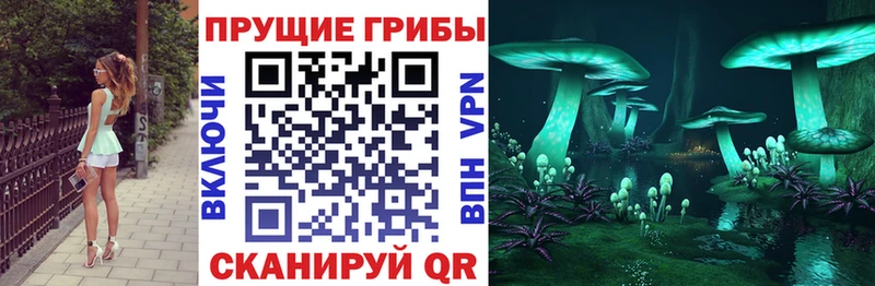 ОМГ ОМГ как войти  сколько стоит  Иваново  Галлюциногенные грибы ЛСД 